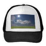 green filed, blue sky, white cloud hat