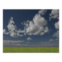 green filed, blue sky, white cloud custom invitation