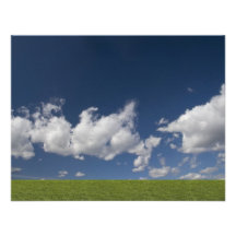 green filed, blue sky, white cloud personalized invitation