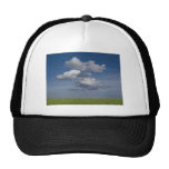 green filed, blue sky, white cloud mesh hat