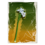 Green Flower Greeting Cards