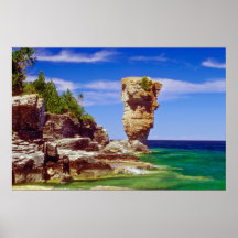 Green Flowerpot Island, Tobermory, Ontario flowers Print