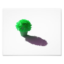 Green Flowers White Bucket and Shadow Photograph