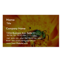 Green Fly Business Card Templates