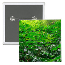 Green foliage Button buttons