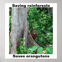 Green for Rainforests and Orangutans Poster