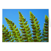 Green Forest Fern Fronds Greeting Cards Flora
