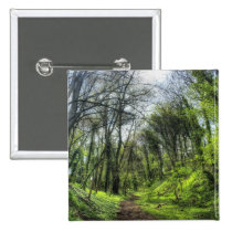 Green Forest Path HDR buttons