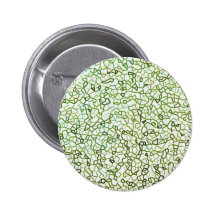 Green Freeform Geometrics Pinback Button