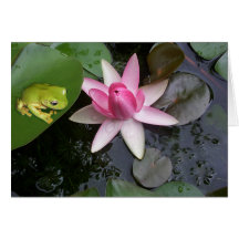 Green frog and pink lilly greeting card