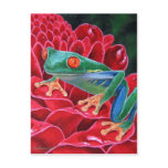 Green Frog Animal Art Painting - Multi Postcard