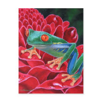 Green Frog Animal Art Painting - Multi Postcard