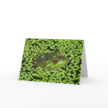 Green Frog Greeting Card