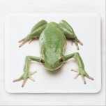 Green-Frog mousepads