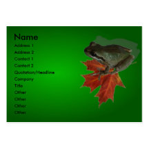 Green Frog Profile Card Business Card Templates