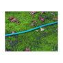 Green Garden Snake Hose Postcard