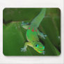 Green Gecko in Hawaii Mousepad