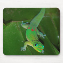 Green Gecko in Hawaii Mousepad