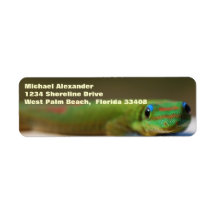 Green Gecko Return Address Label