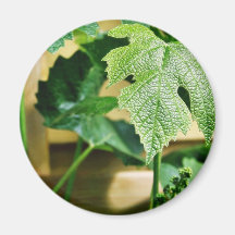 Green Grape Leaf Refrigerator Magnet