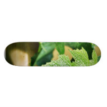 Green Grape Leaf Skateboard Decks