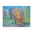 Green grass aglow postcards