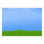 Green Grass & Blue Sky Background Business Cards