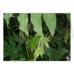 Green Greeting Cards