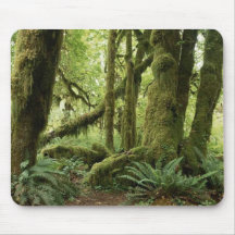 green haven mouse mats