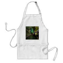Green hummingbird Costa Rica Apron