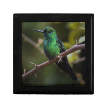 Green hummingbird Costa Rica Keepsake Boxes