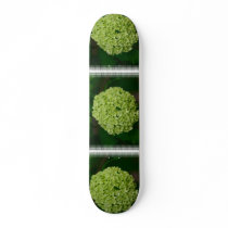 Green Hydrangea Skateboard