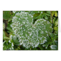 Green Icy Heart Card