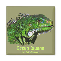 Green Iguana Collection Fridge Magnet