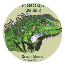 Green Iguana Collection Round Stickers