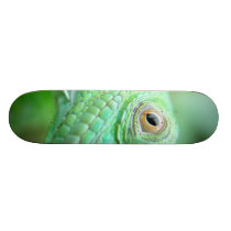 Green Iguana Lizard Reptile On Leaf Skateboard skateboards