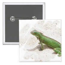 Green Iguana Lizard Square Pin