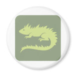 Green Iguana Reptile Icon magnets