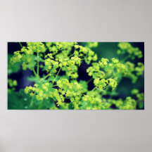 Green Imagination Posters