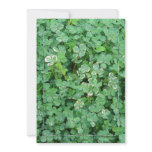 Green Irish Shamrock Invitation Template