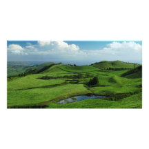 Green island picture card