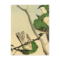 Green Japanese Sparrows no.1 Post Cards