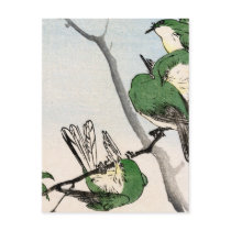 Green Japanese Sparrows no.2 Postcard