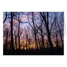 Green Lane PA Woodland Winter Sunset Card
