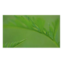 green leaf background business card