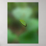 Green Leaf Blurred Background Posters