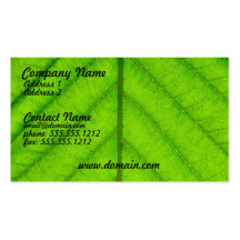 Green Leaf Business Card
