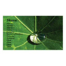 Green leaf business card template