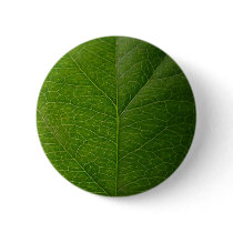 Green Leaf Button