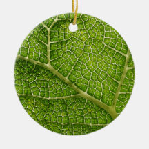 Green Leaf. Digital Art. Ornaments